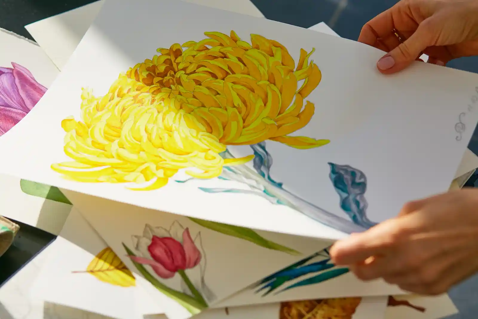 Saturation des couleurs et impact visuel