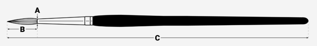 Ce schéma illustre les dimensions principales du pinceau